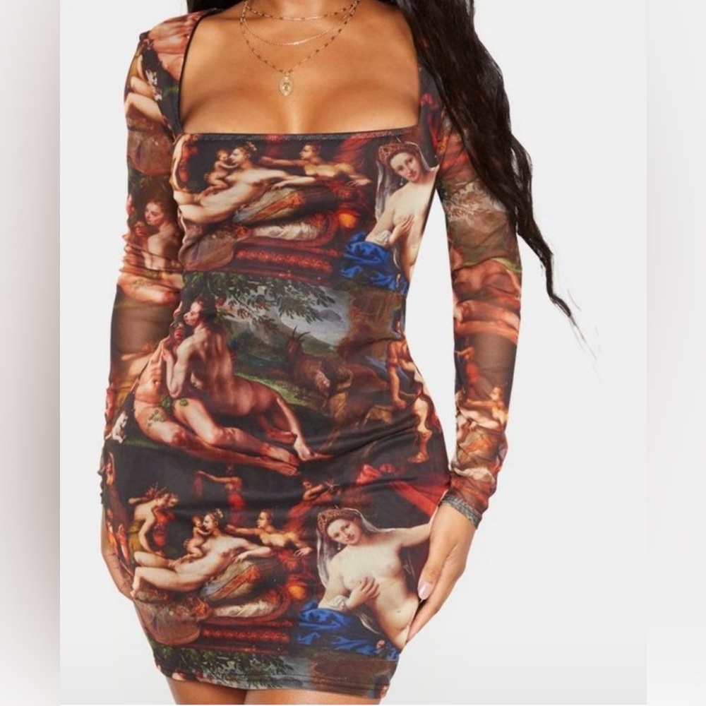Pretty little things Renaissance mesh dress